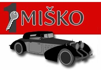 Auto bravar Miroslav Gajić